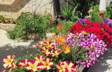 Villa Anthemida Chania - Foto 7