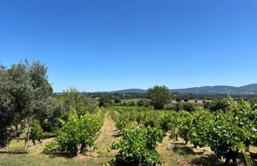 Casa Cabeço do Barragão - Photo 24