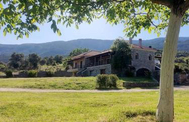 Venus cottage - Foto 1