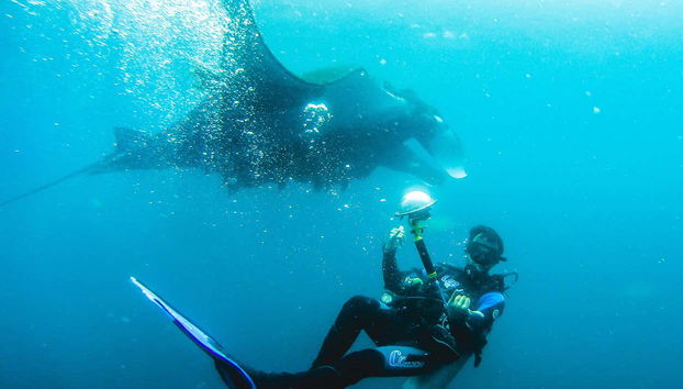 Diving in Puerto López - Foto 3