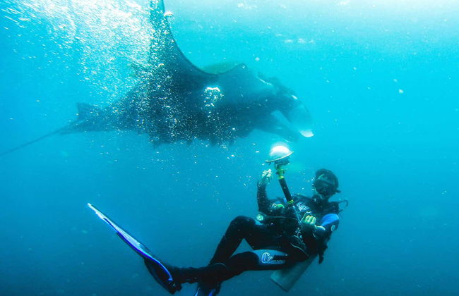 Diving in Puerto López - Foto 3