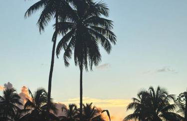 Villa Naluri - Studio Iamandu A001 - Foto 73