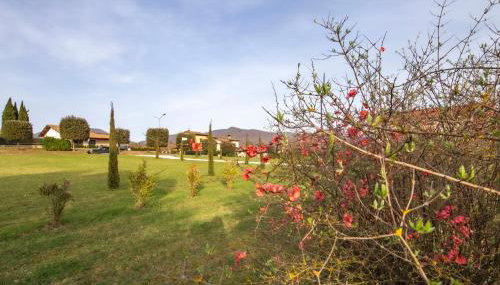 Agriturismo Podere Sant' Agnese - Foto 3