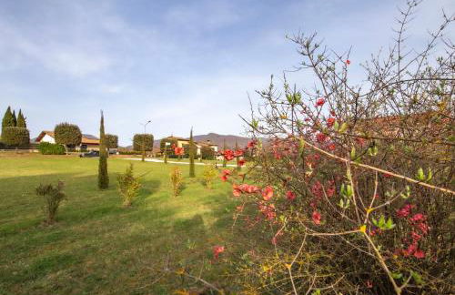 Agriturismo Podere Sant' Agnese - Foto 2