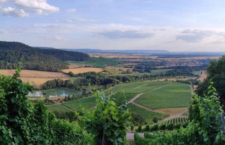 Ferienwohnung am Hollergraben - Foto 24