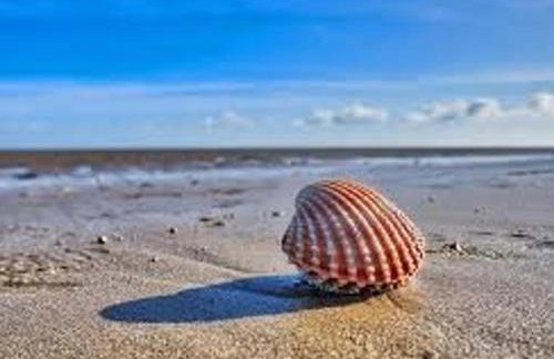 Fabulous Beach Front Holiday Location - Pass the Keys - Photo 19