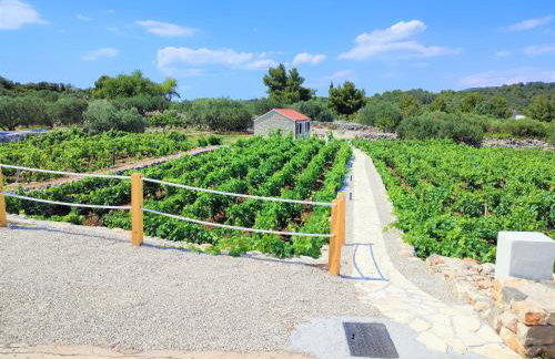 Stone house in vineyard - Photo 8