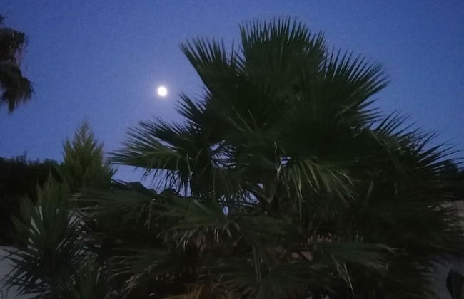 Cyan Icons Villas - Foto 70