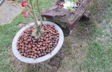 Casa de Campo , Lagoa Nova - Linhares ES - Foto 27