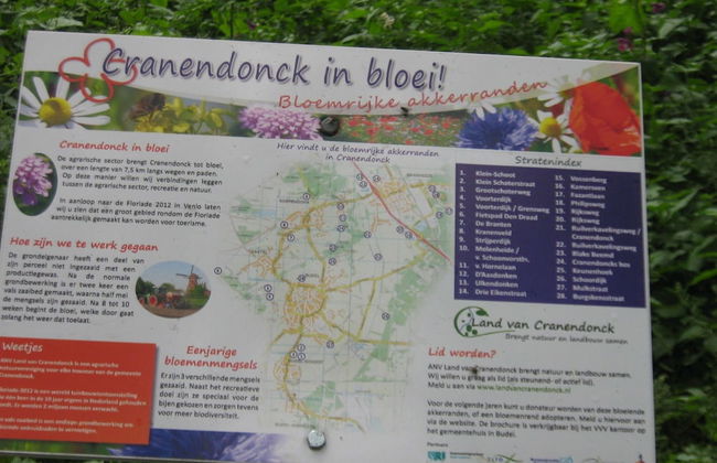 Holiday Home in Soerendonk With Garden - Foto 35