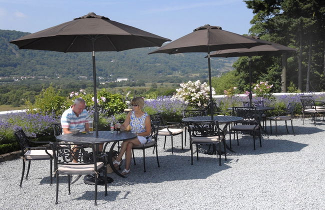 Plas Maenan Country House - Foto 62