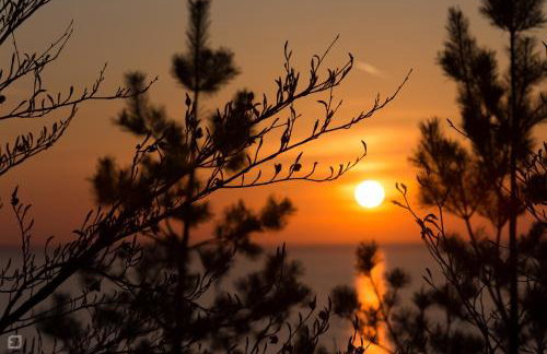 Wierzbowa Ostoja - Domek letniskowy BOSMAN - Photo 35