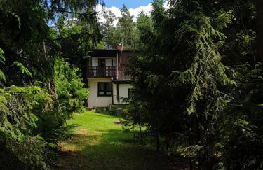 Leśne zacisze - dom z kominkiem i balią - Foto 20