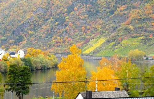 Moselschön 2 Comfortable holiday residence - Foto 18