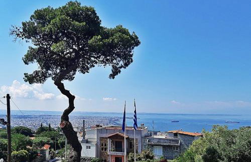 Dimitra's cosy studio in old town with backyard - Foto 55