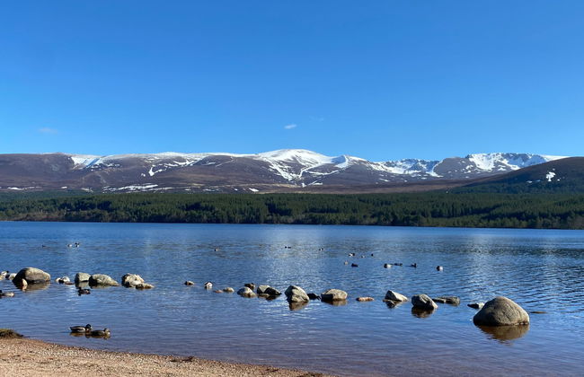 Lower Curr - Foto 39