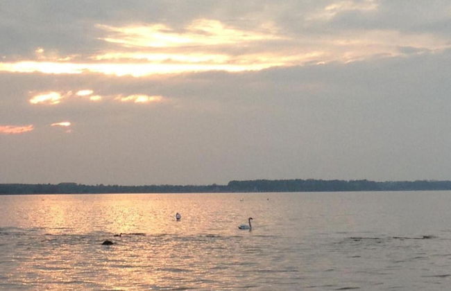 5-zimmer-ferienhaus in Zierow mit Garten - Foto 33