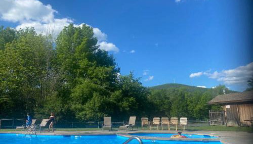 Cozy Ski in out Cabin in Berkshire Resort - Foto 4