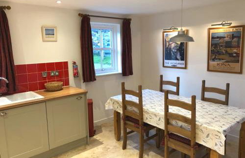 Northern Lights - Foto 8