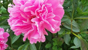 Urlaubsruhe - Photo 3