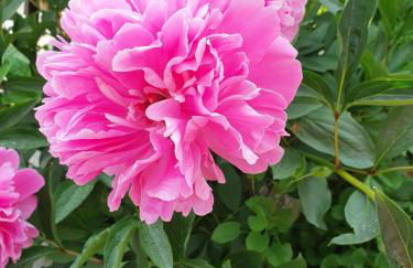 Urlaubsruhe - Foto 3