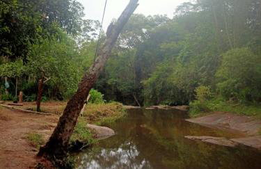 Sitio Lady Laura Biritiba Ussu Mogi - Foto 42