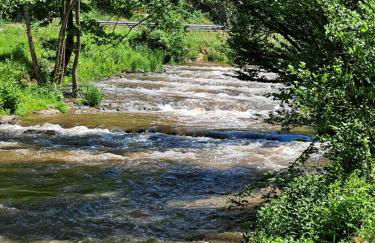 Ferienwohnung Sternenwald - Foto 43