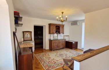 House Nono Bepo in small Istrian village - Foto 30