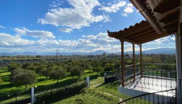 Into the green - Foto 4, Garden, Garden view