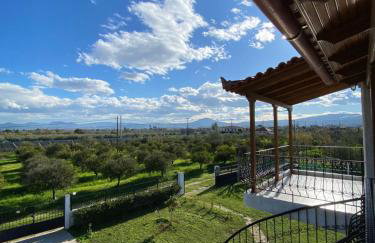 Into the green - Foto 4