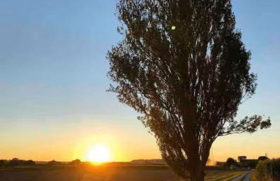 fattoria Coppetella Cemani - Photo 21