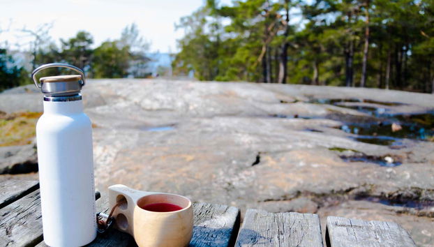Provaremos snacks finlandeses nos bosques de Porkalanniemi