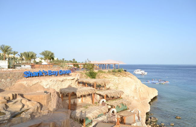 Shark Bay Oasis - Foto 57