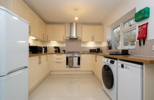 Modern Detached 4-Bedroom 2-Bath Home, Guildford - Photo 17