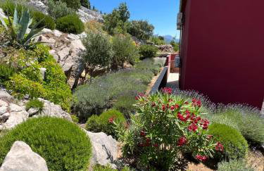 Apartments Angela - Foto 10