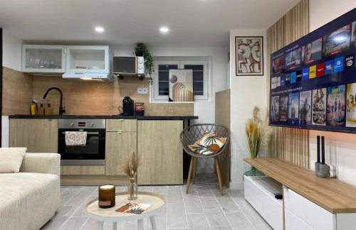 Appartement T2 cosy (aéroport - parc des expo - parc Astérix) - Foto 3