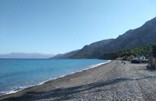 Palm tree house by the beach - Foto 38