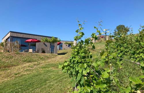 MoselHoch - Photo 14