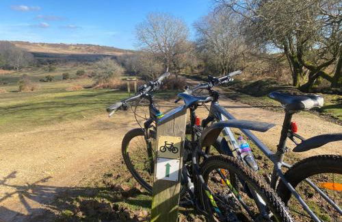 Forest Palms Studio The New Forest National Park - Foto 28