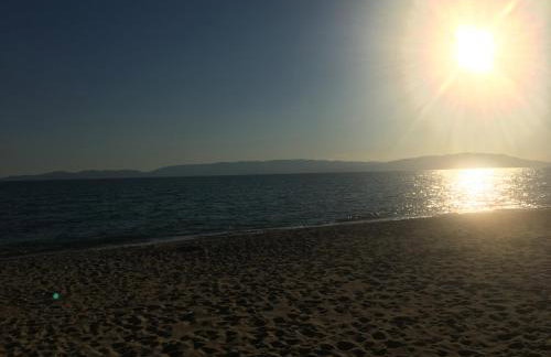 Summer House Dabovi - Foto 15