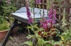 Peaceful Getaway In Peebles - Foto 5