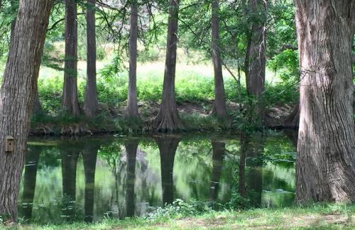 Swimming Hole - Foto 11