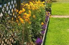 Compass Barn, Wenhaston - Foto 4