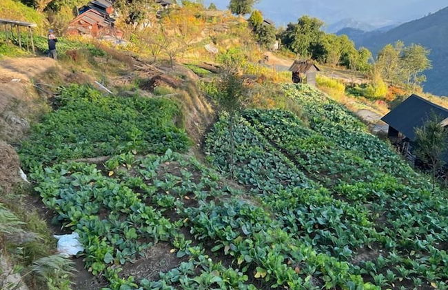 Prakriti Resort and Organic Farm - Foto 65