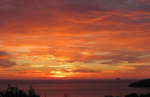 Kallisto studios - Foto 16