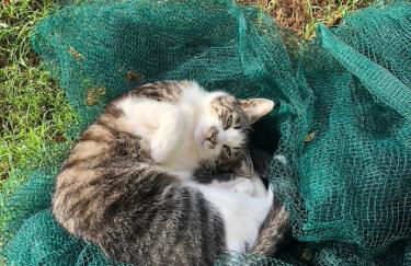 Agriturismo Biomatto - Foto 20