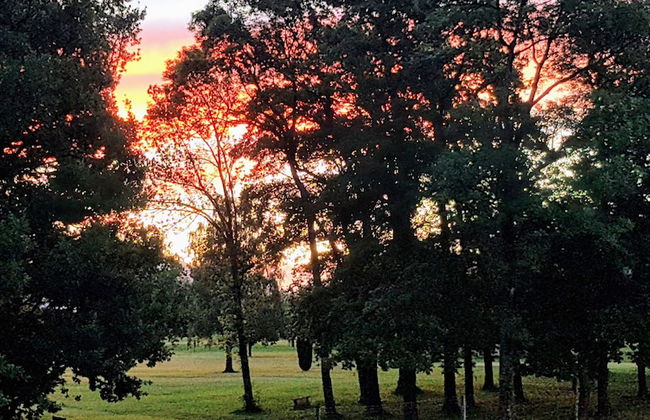 Aspen Lodge Motel - Photo 33