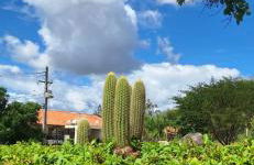 Flat Divina Paz Monte Castelo - Photo 43