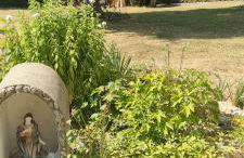 Ferienwohnung Tom - Foto 8