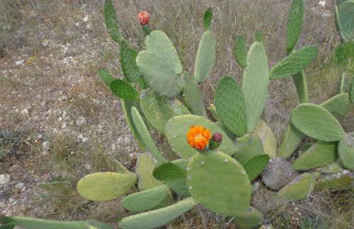 Apartamento Tramuntana - Foto 19